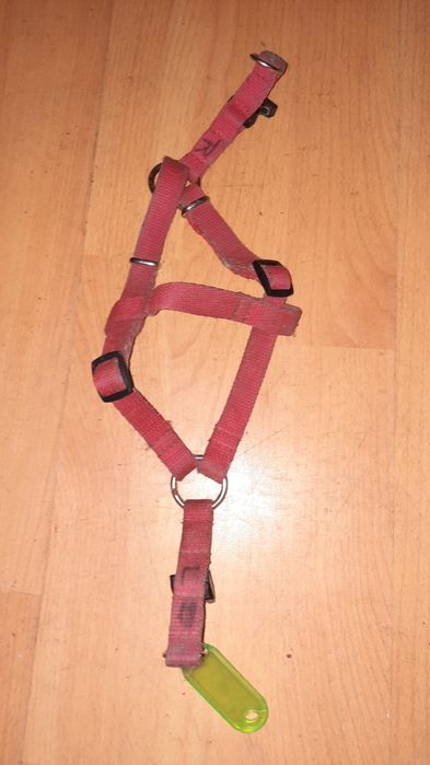 Smycz szelki  z woreczkami i szeklą dla psa,szelki dla psa i kota,ring