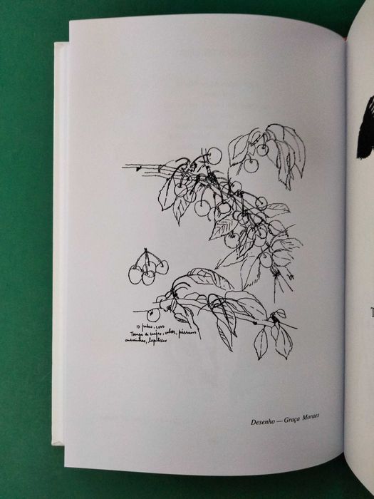 Cerejas - Poemas de Amor de Autores Portugueses Contemporâneos