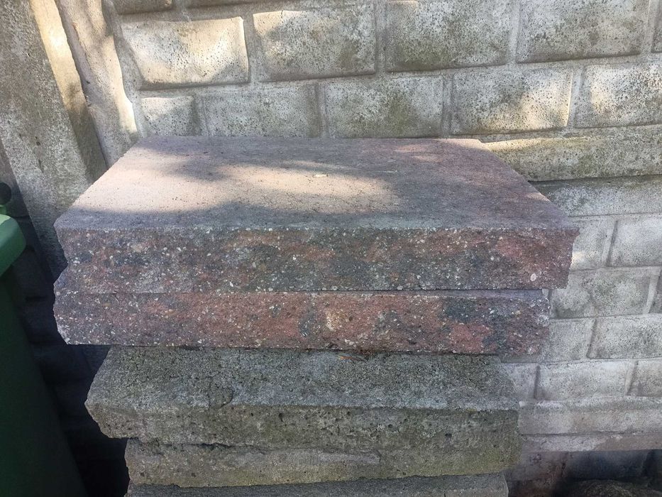 Daszek Joniec gorc bronzyt