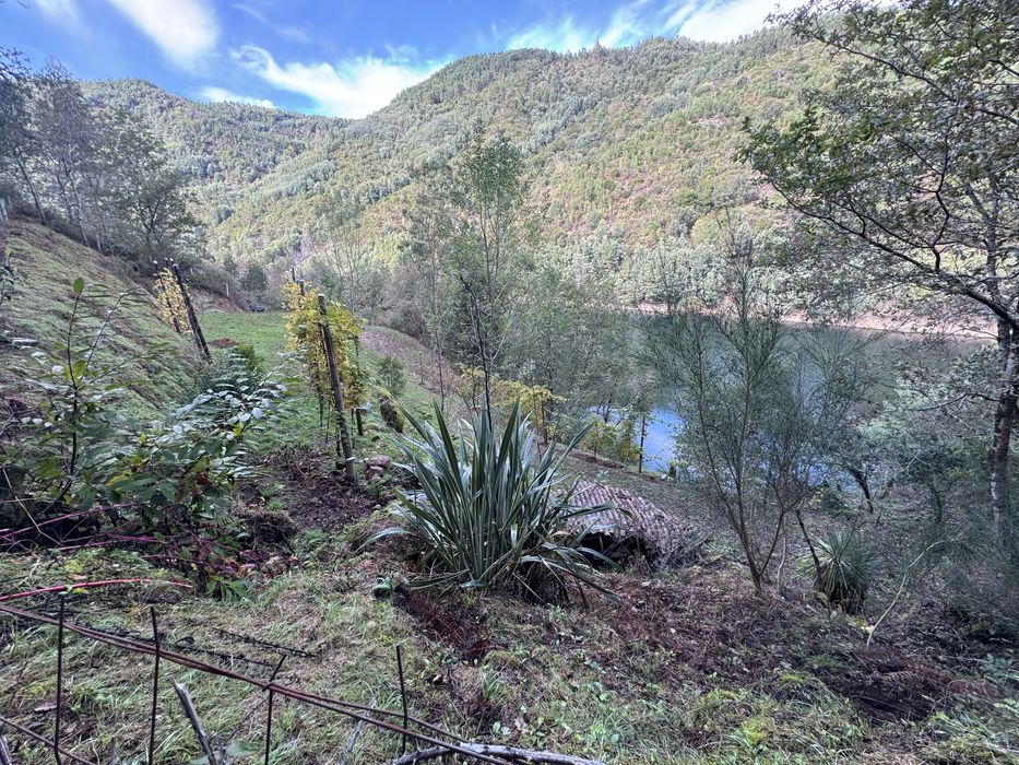 Terreno junto a Barragem de Albufeira da Caniçada, Louredo