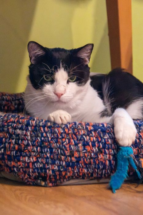 Izydor jest już gotowy na podróż życia, może właśnie z Tobą?