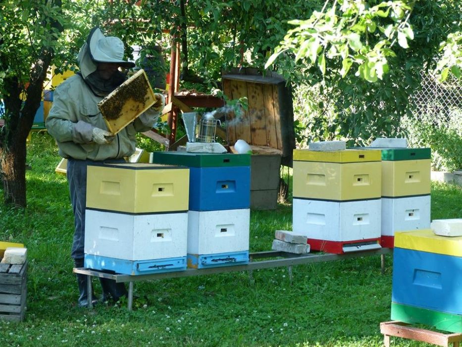 Agroturystyka BAŁTOWSKI DWOREK AgroPasieka SAUNA