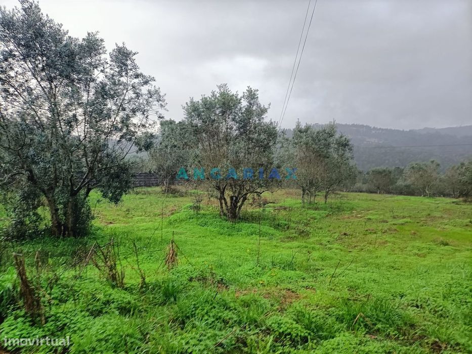 ANG1576 - Terreno para Venda em Chainça, Leiria