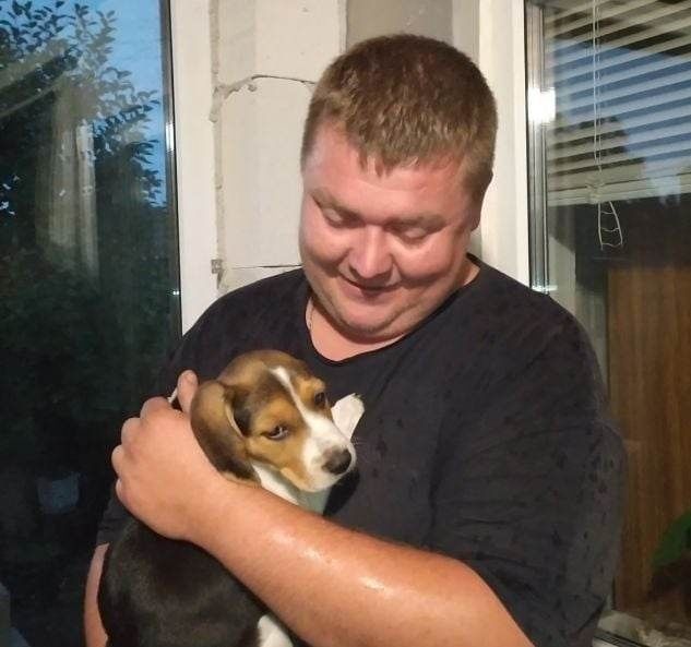 Щенки бигль девочка и мальчики