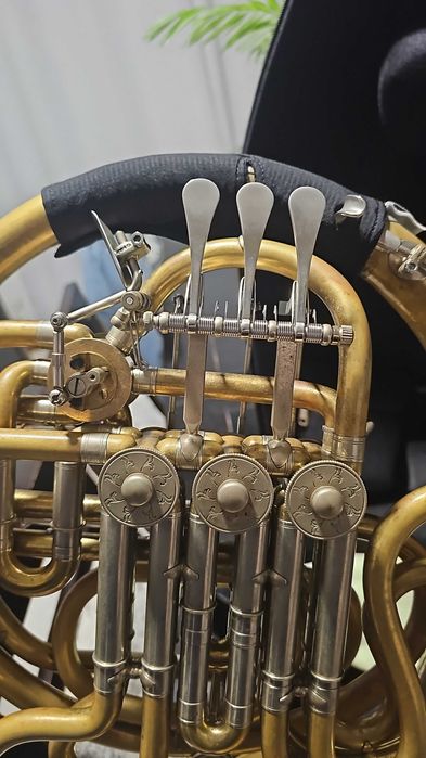 Trompa Durk D3 sem verniz