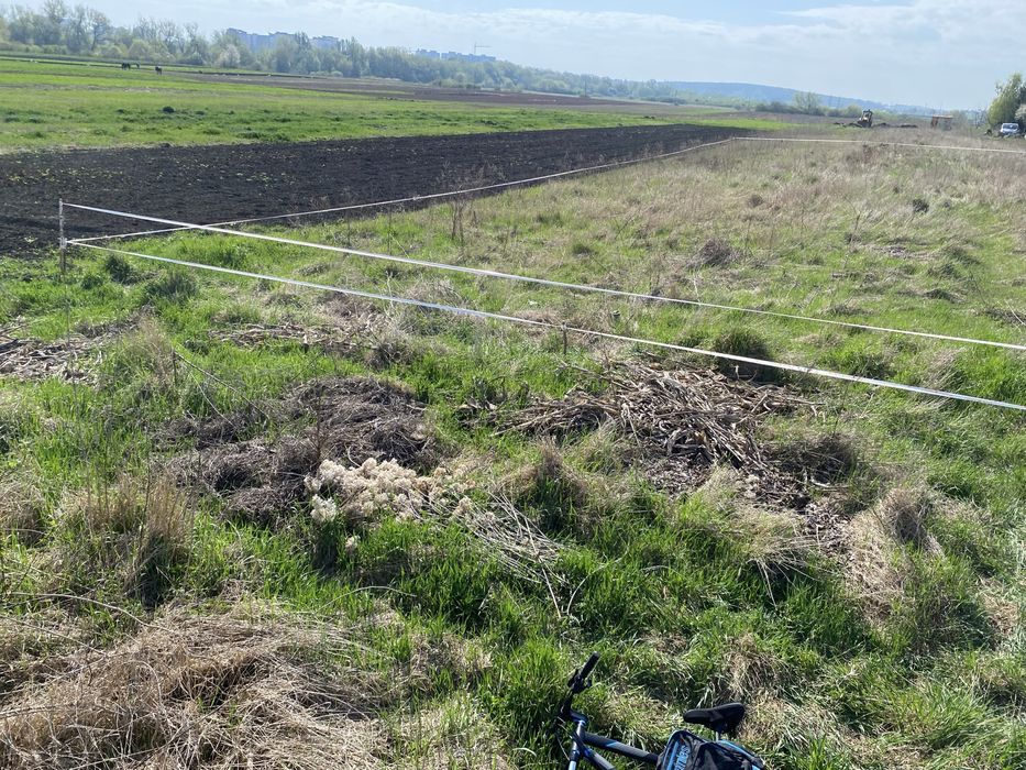 Продам земельну ділянку в Петриках