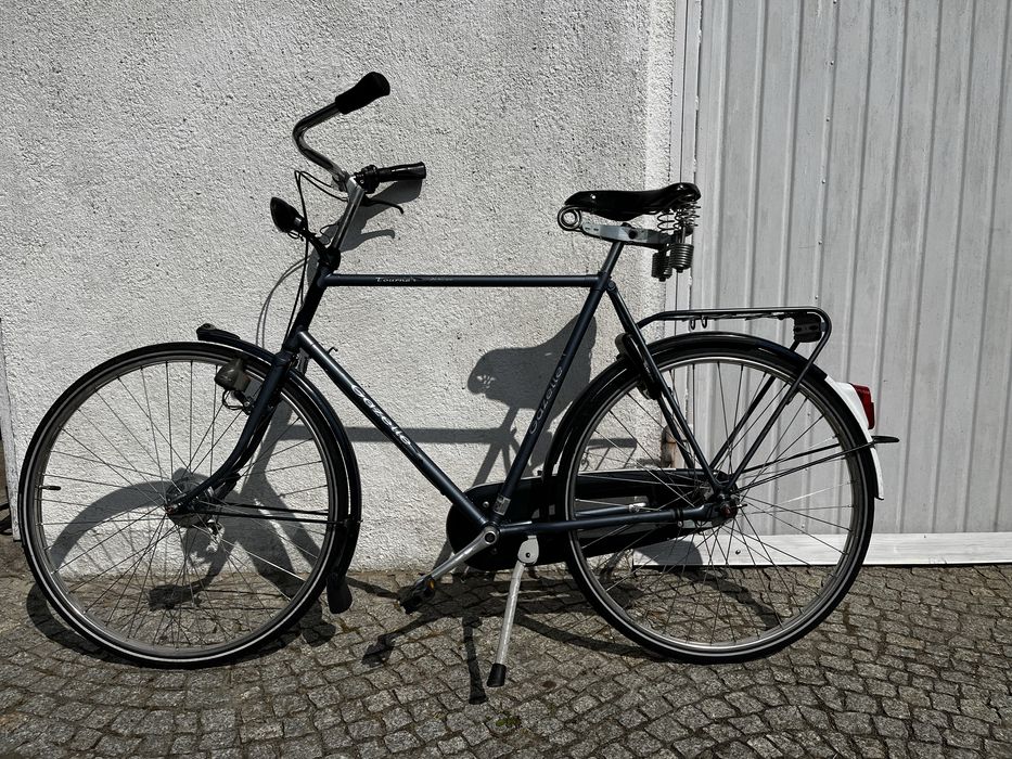 Gazelle Tournee Ambiance Latający Holender