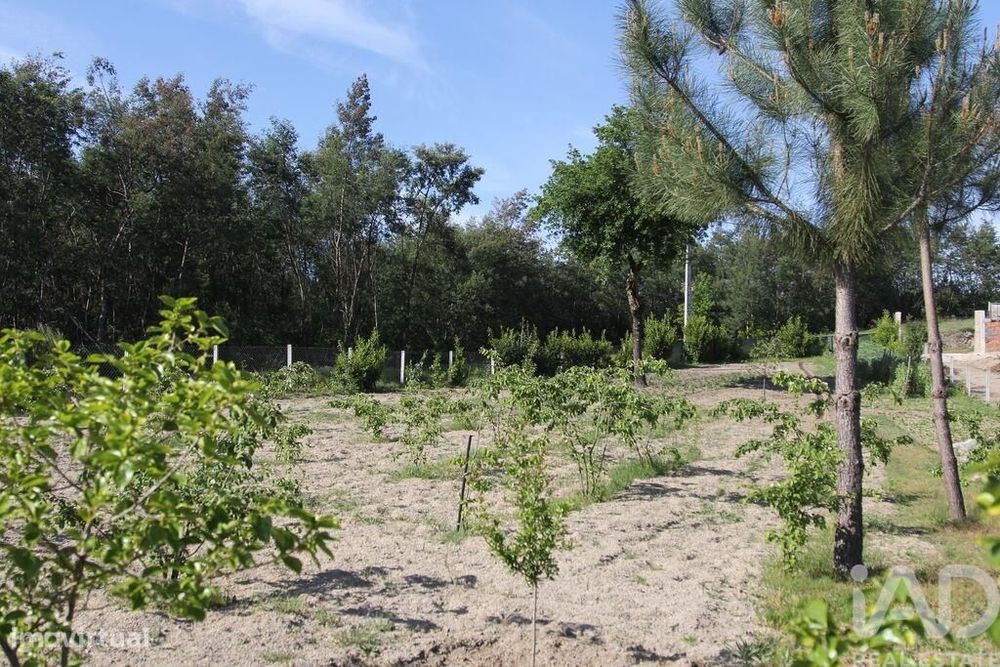Terreno Agrícola em Oliveira do Hospital e São Paio de Gramaços