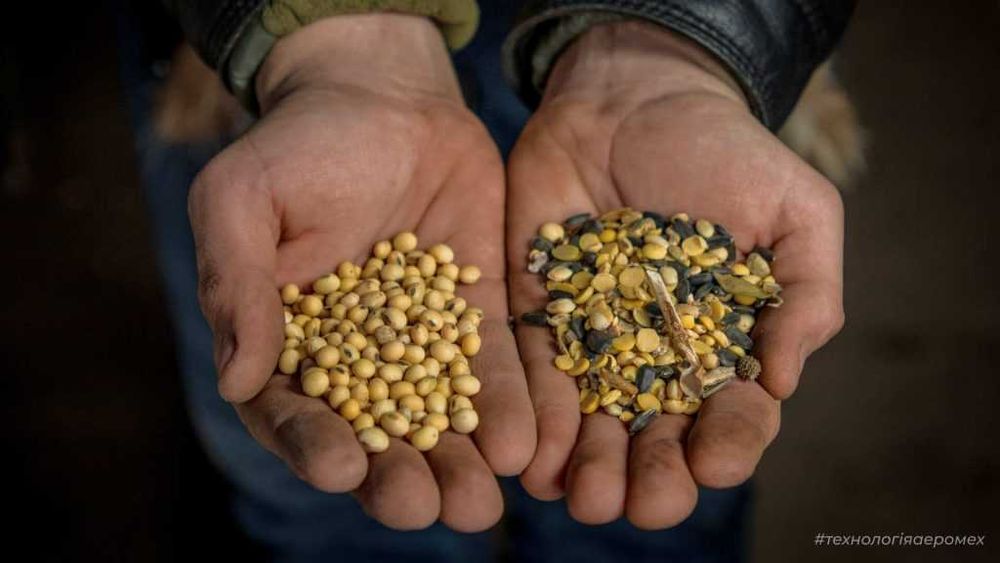 Професійні послуги з очистки зернових культур на фото сепараторі