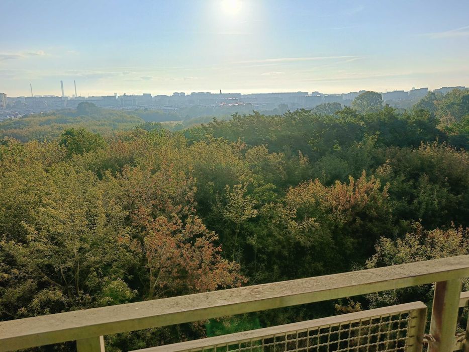 2 nieprzechodnie pokoje | 47 m2 | przy Metro Wilanowska | Basen Gratis | Bukowińska | Domaniewska | Puławska | Al. Niepodległości | Mokotów
