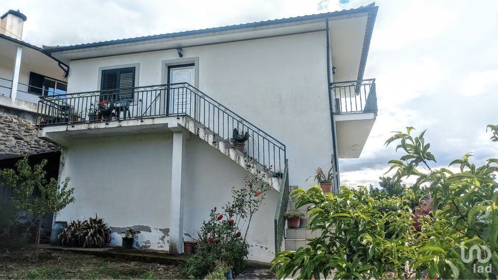 Quinta vinhateira com moradia e adega
