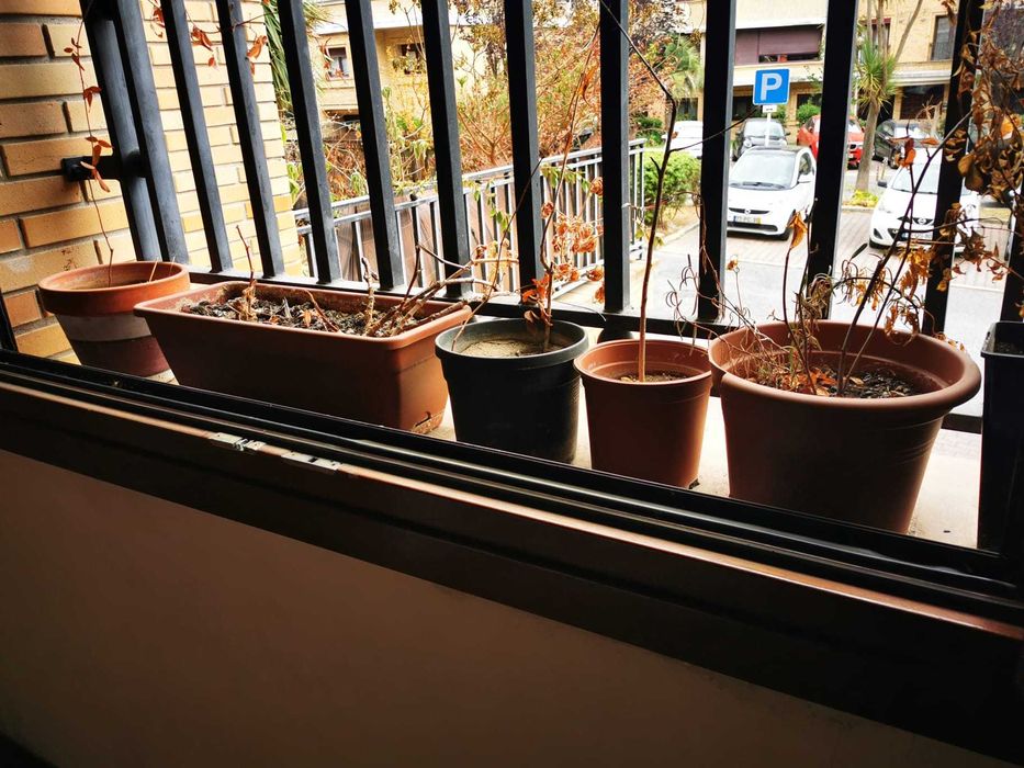 Inúmeros vasos em plástico - vários modelos e tamanhos