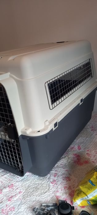 Caixa Transporte para cão padrão IATA