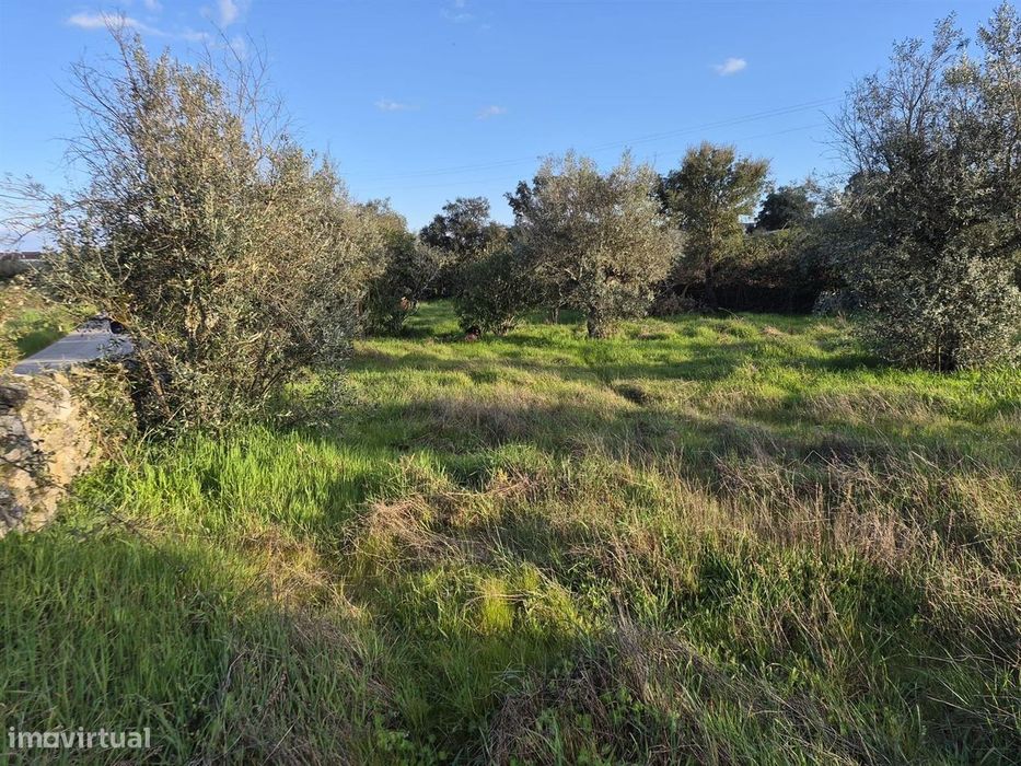 Terreno
