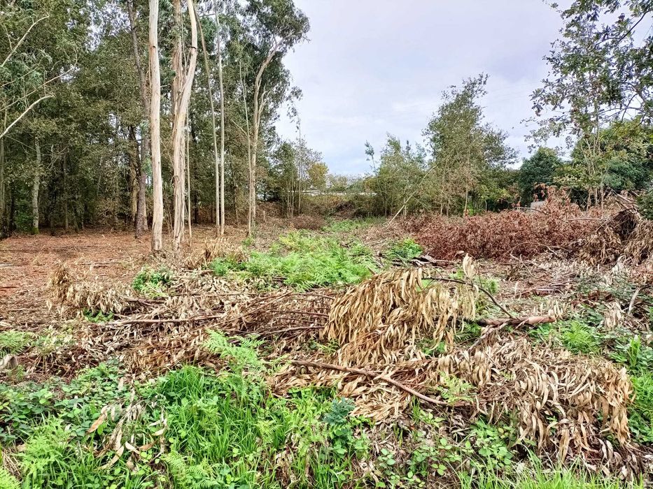 Vila Nova de Cerveira- Terreno com viabilidade para construção