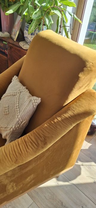 Fotel welur żółty musztardowy