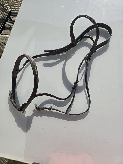 Selim de cavalo com acessórios