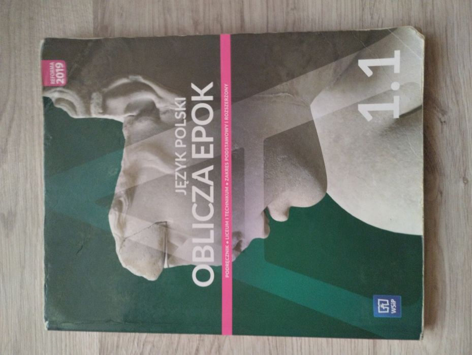 Język Polski oblicza epok 1.1