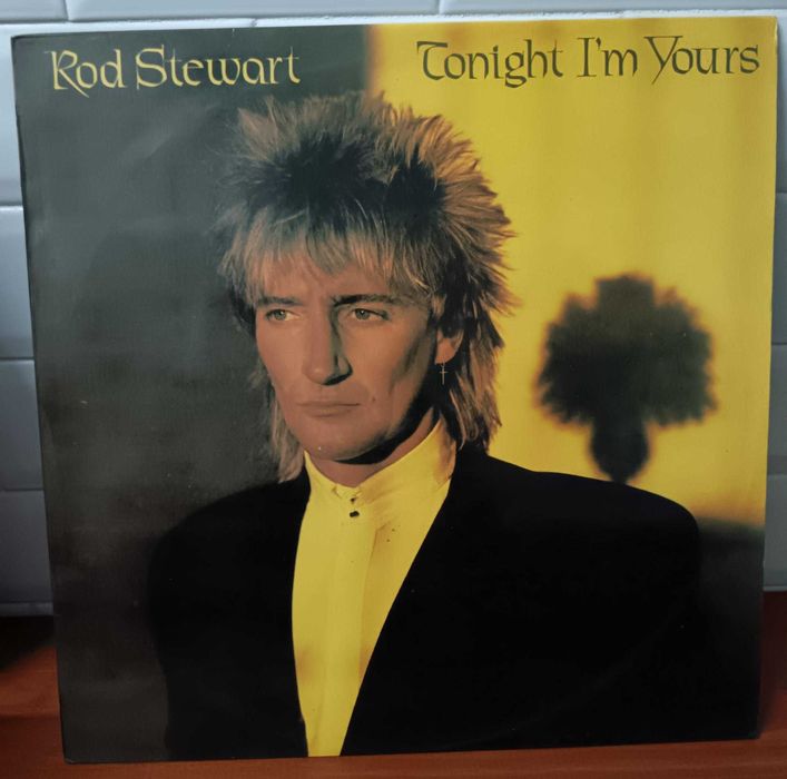 Rod Stewart tonight I`m yours vinil bom estado