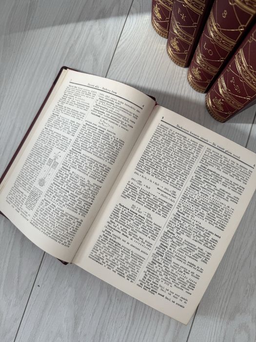 Ilustrowana Encyklopedia Trzaski, Everta i Michalskiego