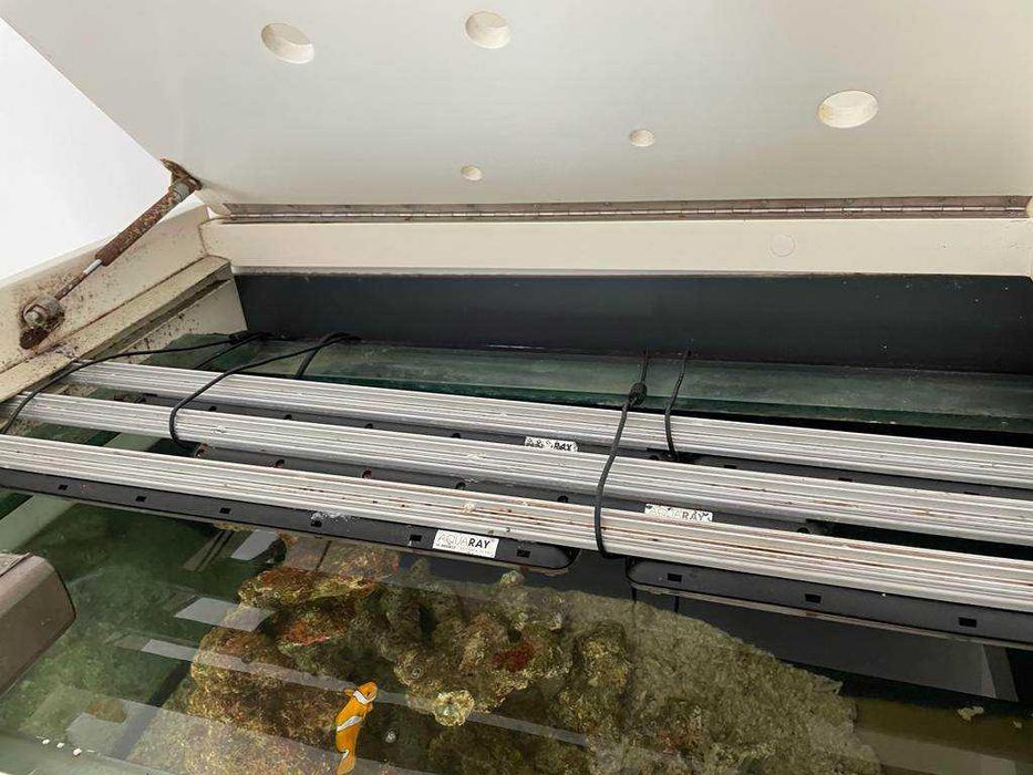 Aquário de 600 litros