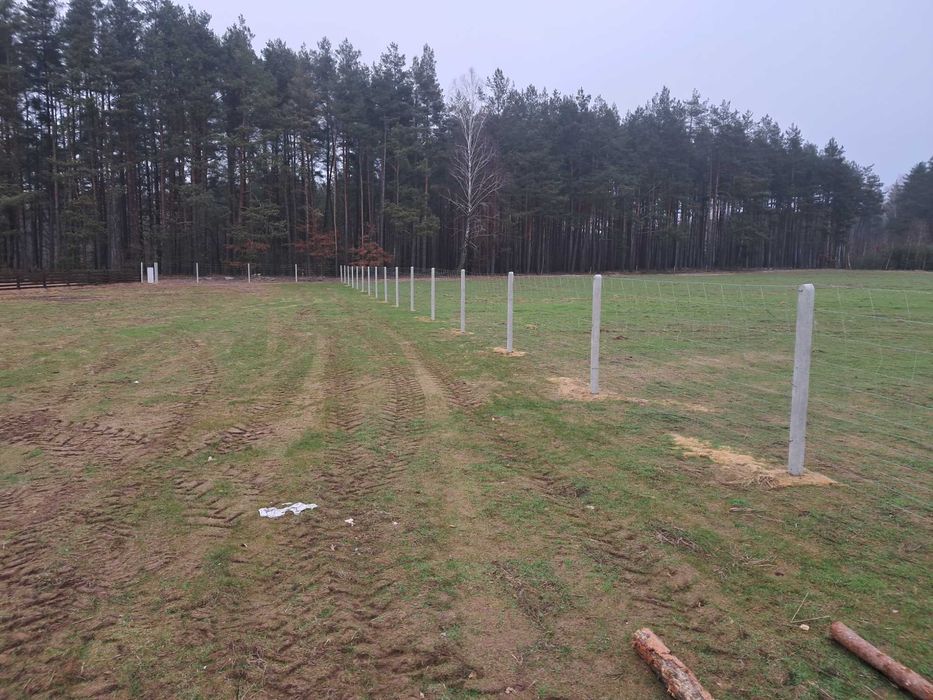 Ogrodzenie z siatki leśnej tymczasowe stałe działki siatka słupki