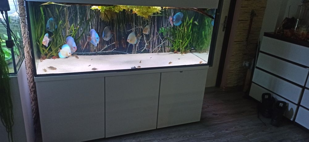 Akwarium 160x60x60. Zestaw