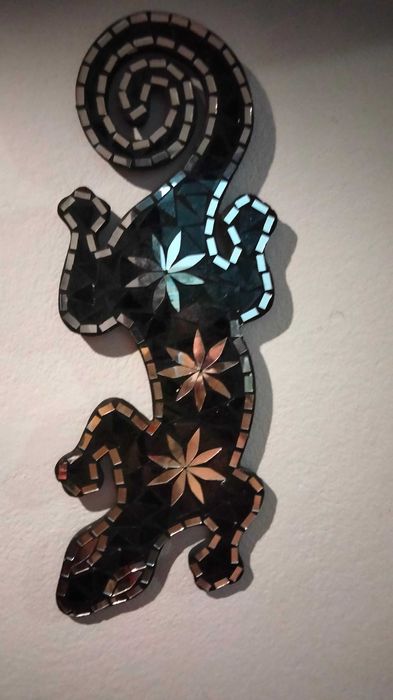 Salamandras espelhadas