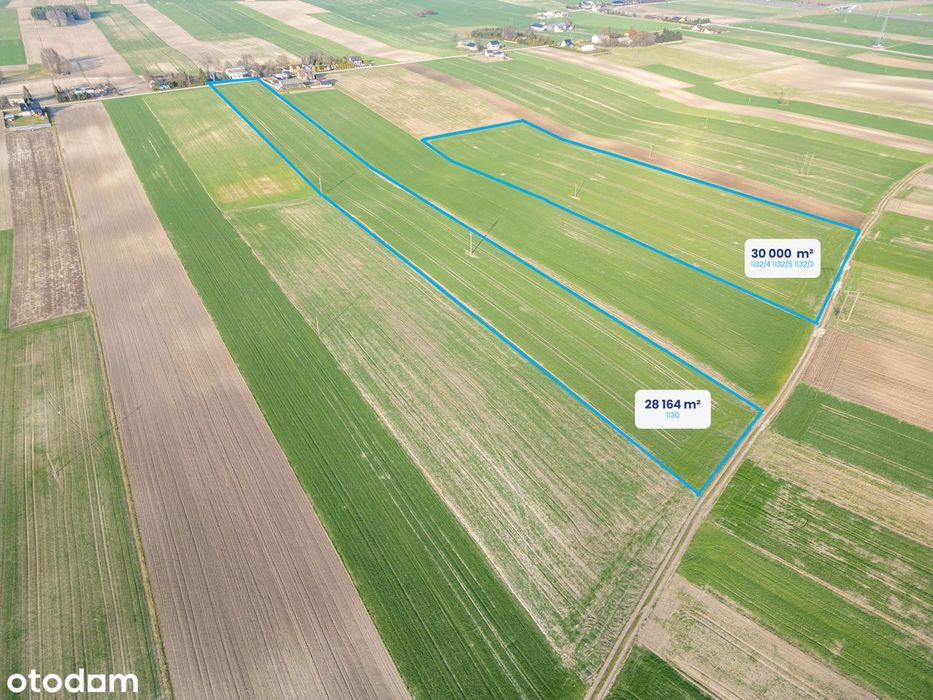 Działka rolna 2,8 ha – Potok Wielki | dobry dojazd, media przy działce