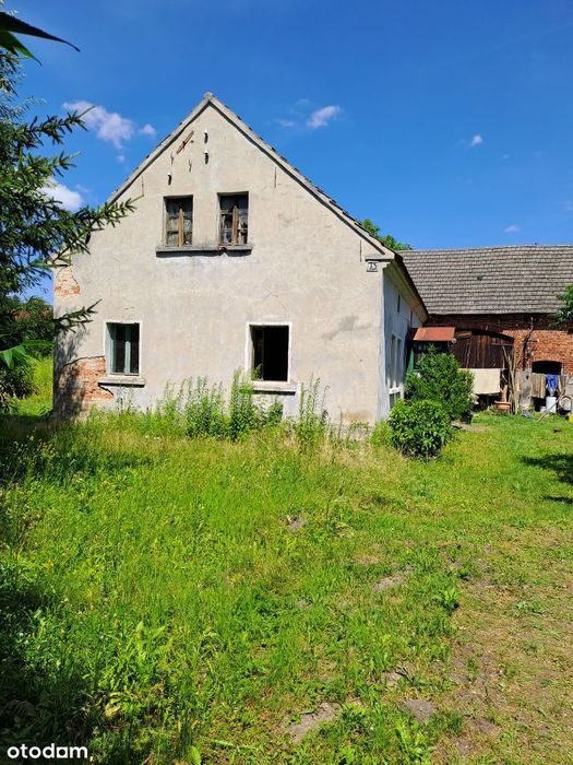 dom ze stawem i olbrzymia działka