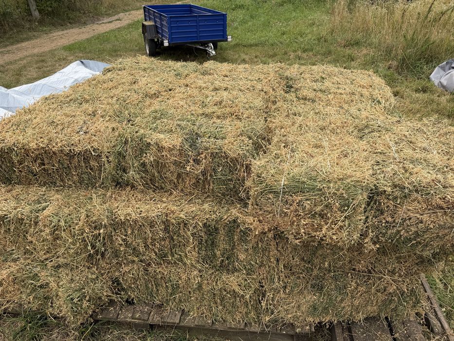 Продам тюки люцерни | Якісна,Суха, чиста, поживна