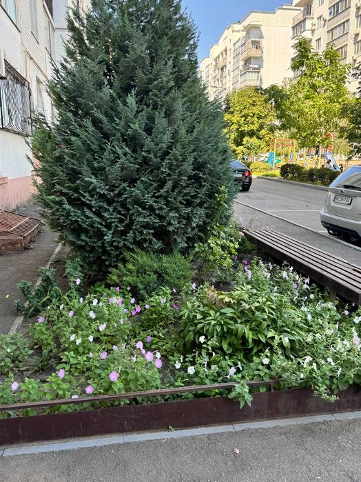 Продаж 2-кімнатної крупногабаритної квартири, цегляний будинок