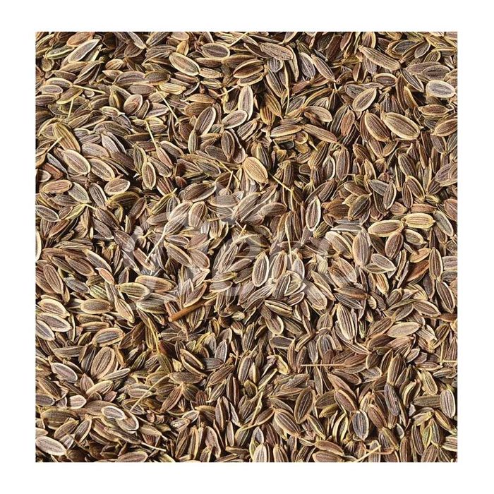 Насіння укропу .