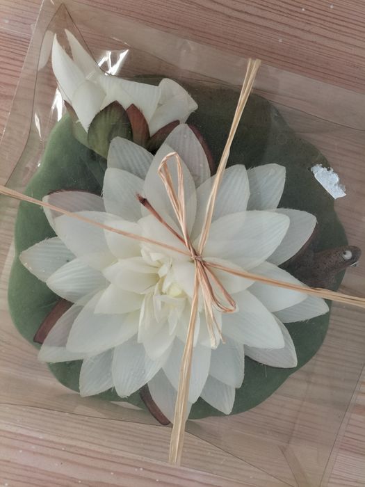 Planta artificial aquática nova