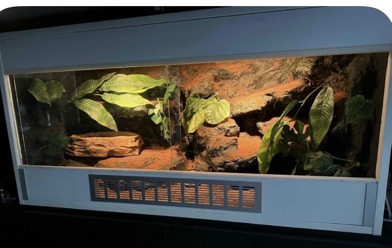 Terrarium dla gada 100*50*40