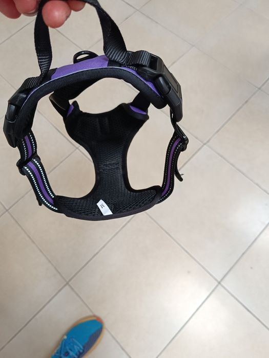 Arnês para cão de médio porte