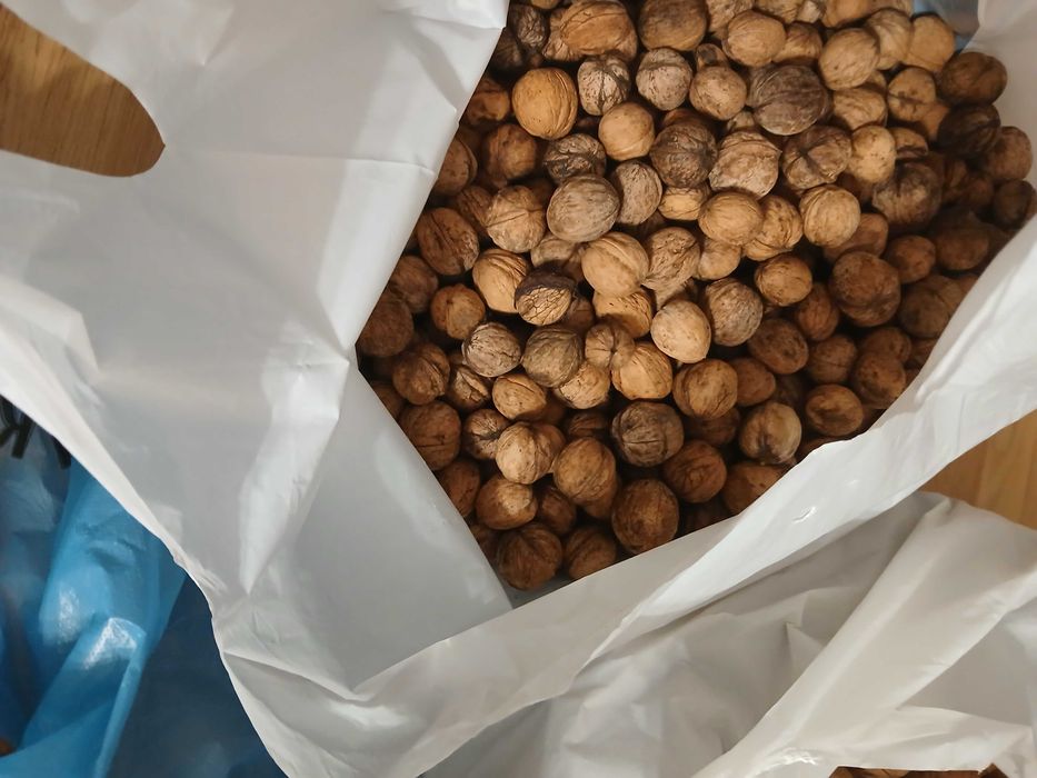 продам грецкий орех