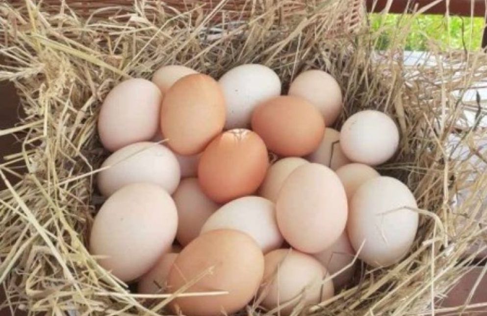 Jajka wiejskie 1.30 zł