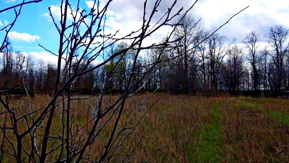 TO Земельна ділянка під будівництво у передмісті Чернігова