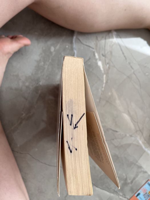 Daniee Steel - Assuntos do coração