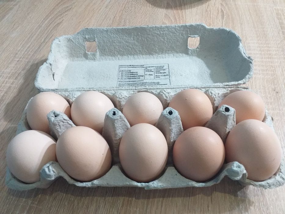 Ekologiczne jaja kurzęce z  wolnego wybiegu