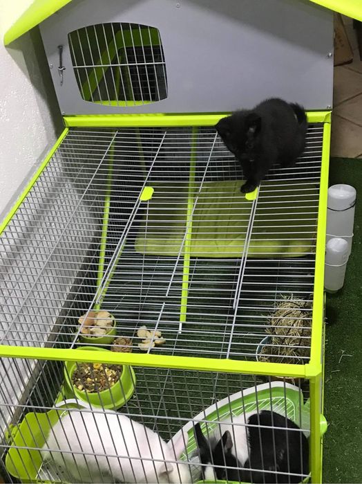 Rabbit Cage64730170905730121