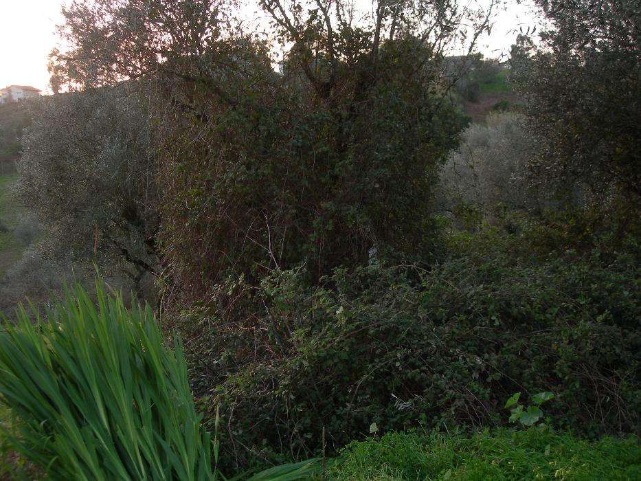 Vendo terreno urbano junto à Solum, Coimbra, para construção.