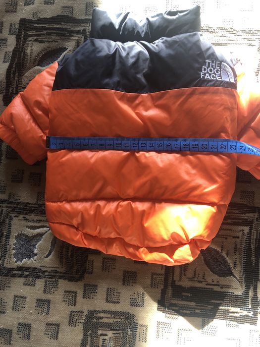 Одежда для собак