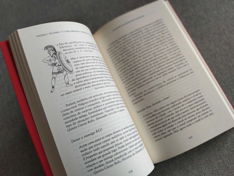 Livro "As lições de gestão dos clássicos" Figueira,Brennan e Sternberg