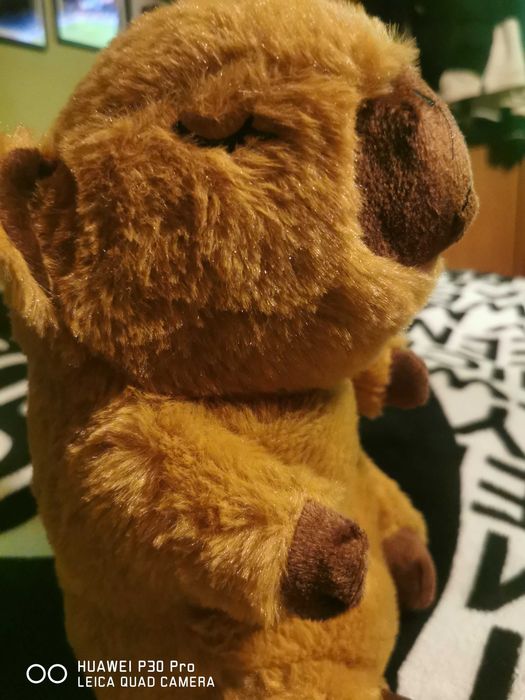 Interaktywna  kapibara pluszowa przytulanka-usypianka 40 cm .1-3 lata