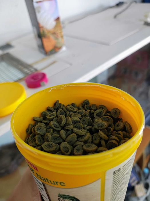 Lâmpada UVB 10.0 e Comida Sera