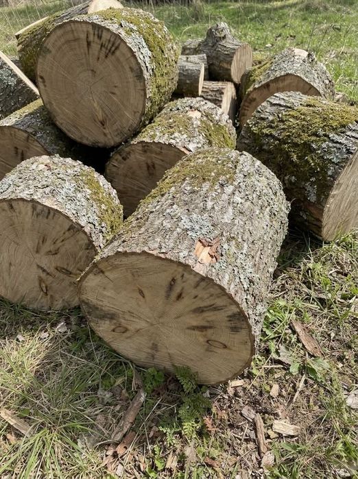 Дрова твердих порід граб та дуб