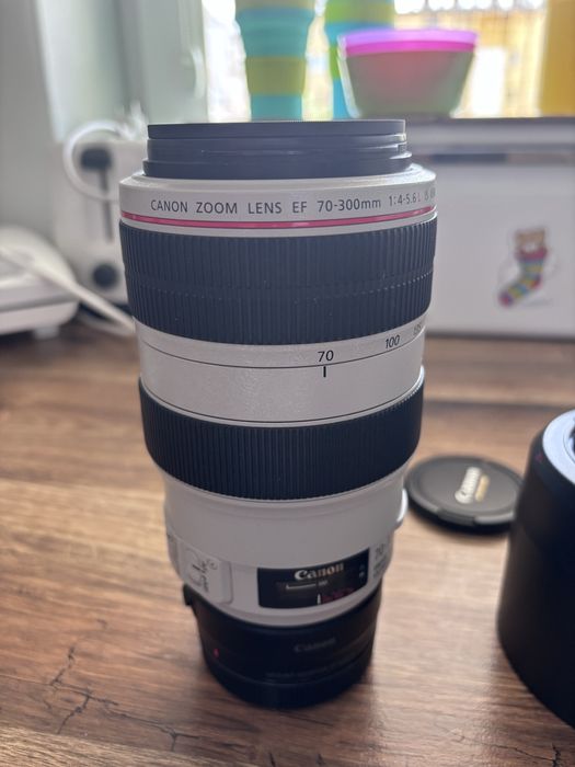 Canon EF 70-300/4-5.6 L USM