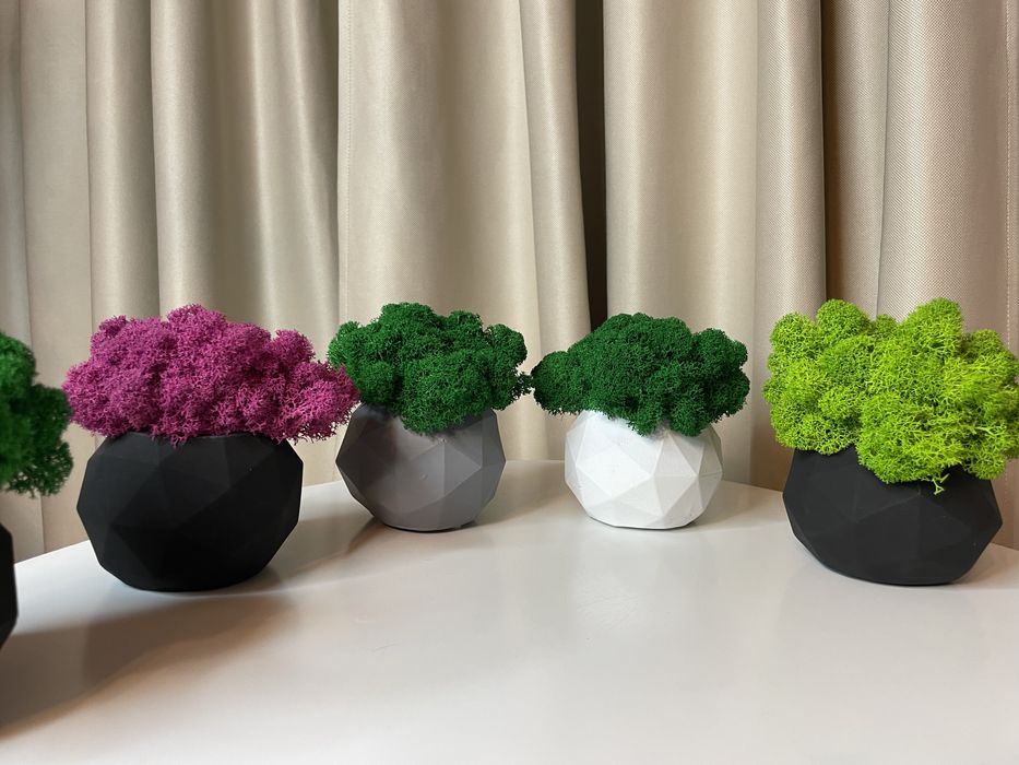 Doniczka betonowa z chrobotkiem